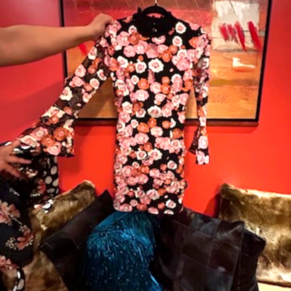French Connection Embroidered Floral Mini Dress